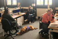 Inverclyde Council and CVS Inverclyde Coronavirus helpline